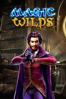 MAGIC WILDS