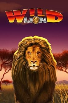 Wild Lion