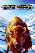 Majestic Wild Buffalo - Winter Wonderland