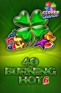 40 Burning Hot 6 reels